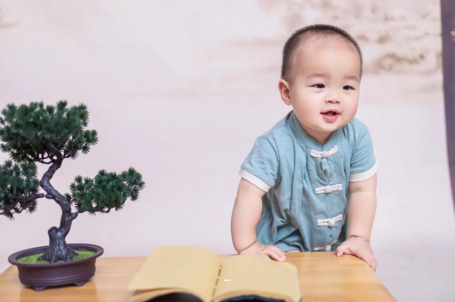 抚顺可爱的企鹅宝宝